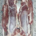 ایلیا پروتئین