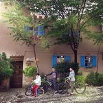 گالری گلستانه