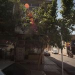 فروشگاه پروتئین شایان