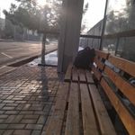 ایستگاه اتوبوس عصمتیه 13