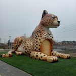 سرویس بهداشتی بوستان عبیدی