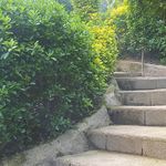 رستوران محلی خاله مرضیه