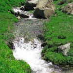 منطقه حفاظت گردیده صوفی چای