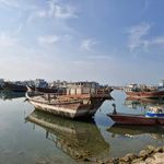 میوه فروشی بندر رستمی