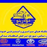 فروشگاه های سراسری و اینترنتی خودرینو