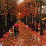 باغ فاتح (پارک تنیس)