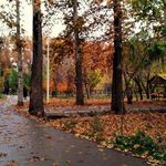 باغ فاتح (پارک تنیس)