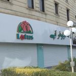 گل فروشی نیلوفر آبی