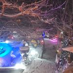 رستوران باغ شاطر