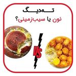 مامان پز (جردن)