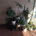 کترینگ آشپزخانه میزبان