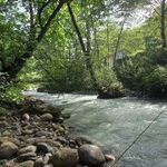 هتل چالدره