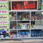 کلینیک گیاهی سلامت
