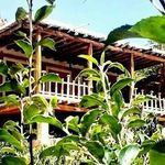 اقامتگاه بوم گردی رضا پارسیان