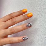 آموزش  ناخن نايس نيل