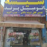 شیشه اتومبیل پرند