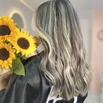 رنگ و لایت سلیمانی