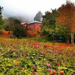 روستای نمکدره