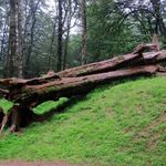 روستای نمکدره