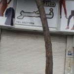 رزا