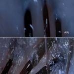 خدمات کراتیه مو و صافی ، احیا بهار