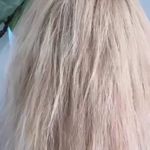 خدمات کراتیه مو و صافی ، احیا بهار