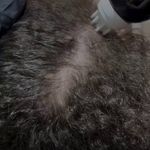 خدمات کراتیه مو و صافی ، احیا بهار