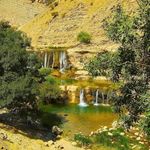 باغ ویلا توکل ناصری