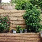 باغ ویلا توکل ناصری