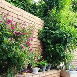 باغ ویلا توکل ناصری