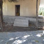 سرویس بهداشتی