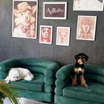 پانسیون و پت شاپ افروپت