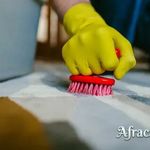 قالیشویی بیتا