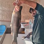 هاپیرمارکت و (مرغ و ماهی) کسب کار هیر