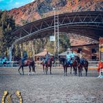 باشگاه سوارکاری اسب ایران
