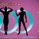 سالن ورزشی کاملیا