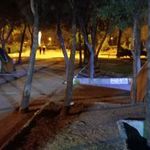 بوستان فدک