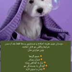 کلینیک دامپزشکی گرین پت در تبریز