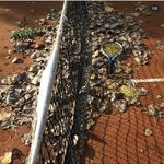 آموزش تنیس یارمحمدی