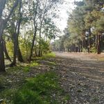 پارک جنگلی چیتگر