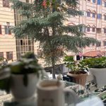 خدمات تخصصی ناخن سالن فاطمه عمران