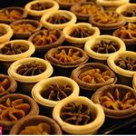 طلیعه ایرانیان