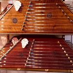 گالري موسيقي سازينه شرق