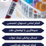 آزمایشگاه پاتولوژی وحیدیه