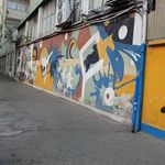 مجموعه ورزشی شقایق