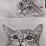 آموزشگاه نقاشی چهار فصل رنگ