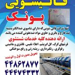 قالیشویی علامه