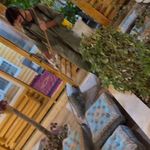 سمپاشی پاد افت