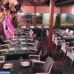 کافی شاپ فرسکا