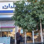 بانک سپه شعبه حمزه کلا بابل